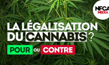 🎤 Micro-trottoir : Pour ou contre la légalisation du Cannabis ?
